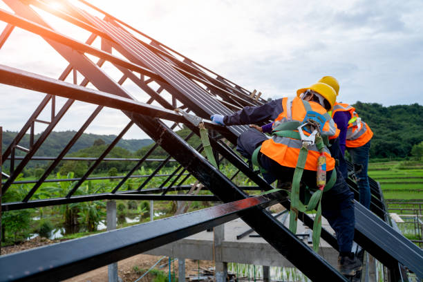 Best Roof Maintenance Services  in Mendon, UT